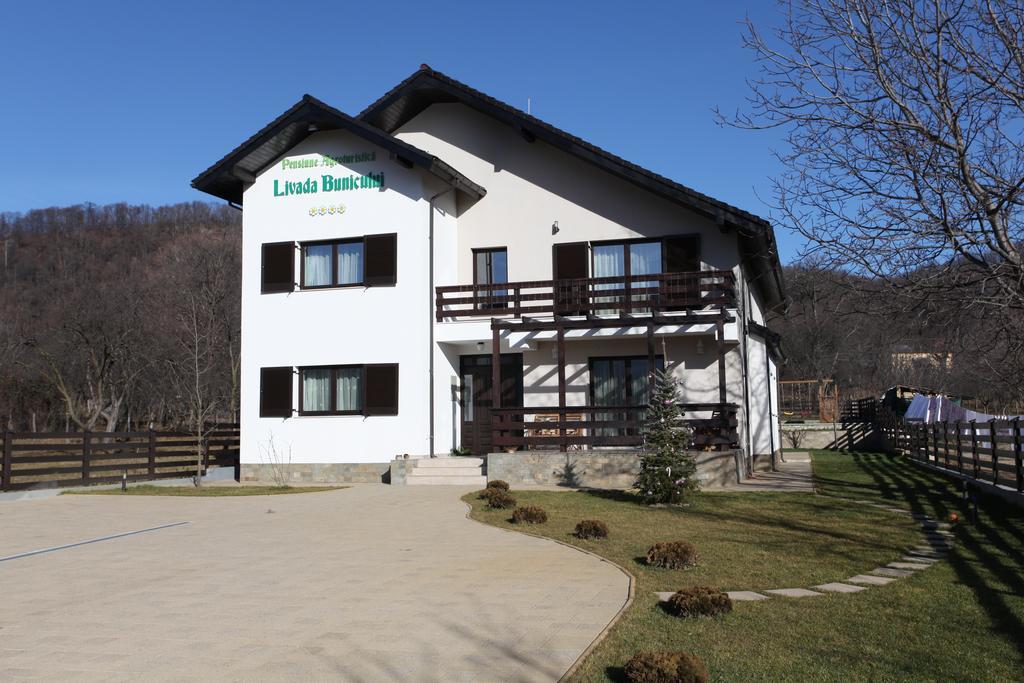Pensiunea Livada Bunicului Stanesti  Exterior photo
